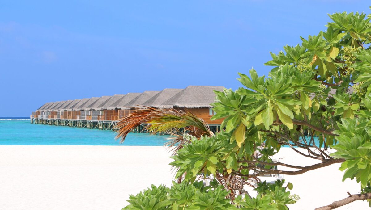Plaża Malediwy © Shutterstock